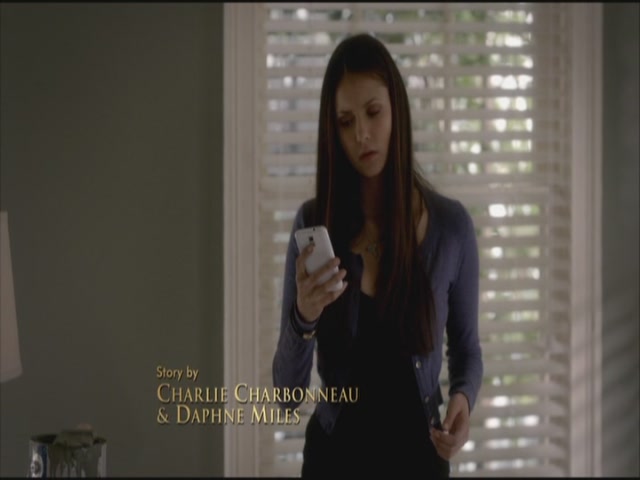 VampireDiariesWorld-dot-org-S3TVD_3x21BeforeSunset0363.jpg