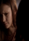 VampireDiariesWorld-dot-org_4x02Memorial0882.jpg