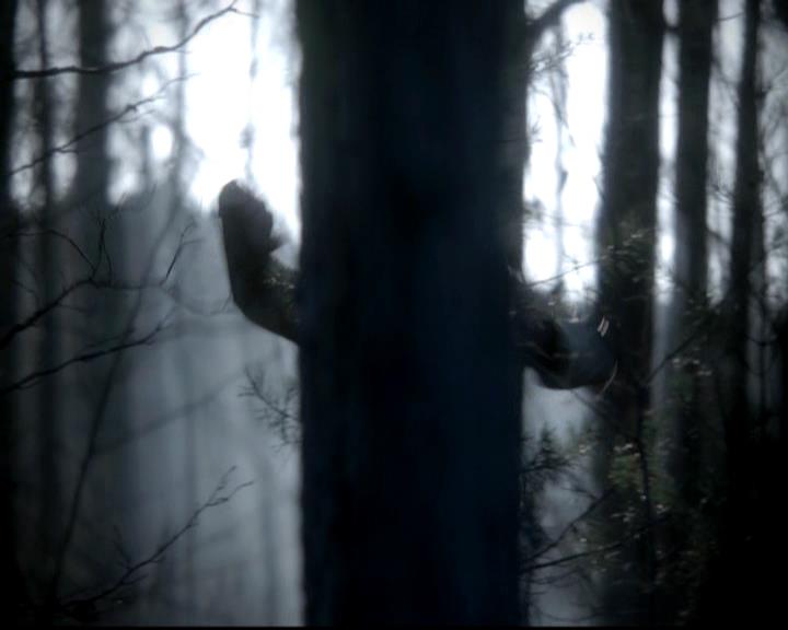 VampireDiariesWorld-dot-org_4x13IntoTheWild0040.jpg