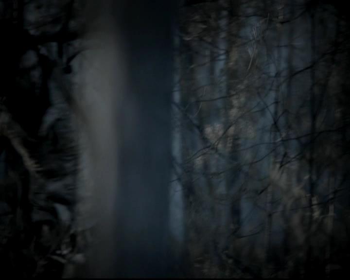 VampireDiariesWorld-dot-org_4x13IntoTheWild0053.jpg
