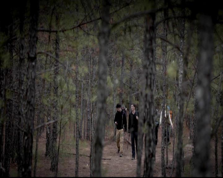 VampireDiariesWorld-dot-org_4x13IntoTheWild0434.jpg
