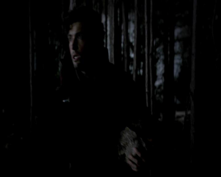 VampireDiariesWorld-dot-org_4x13IntoTheWild2249.jpg