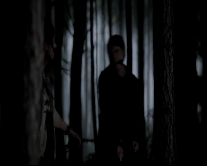 VampireDiariesWorld-dot-org_4x13IntoTheWild2250.jpg