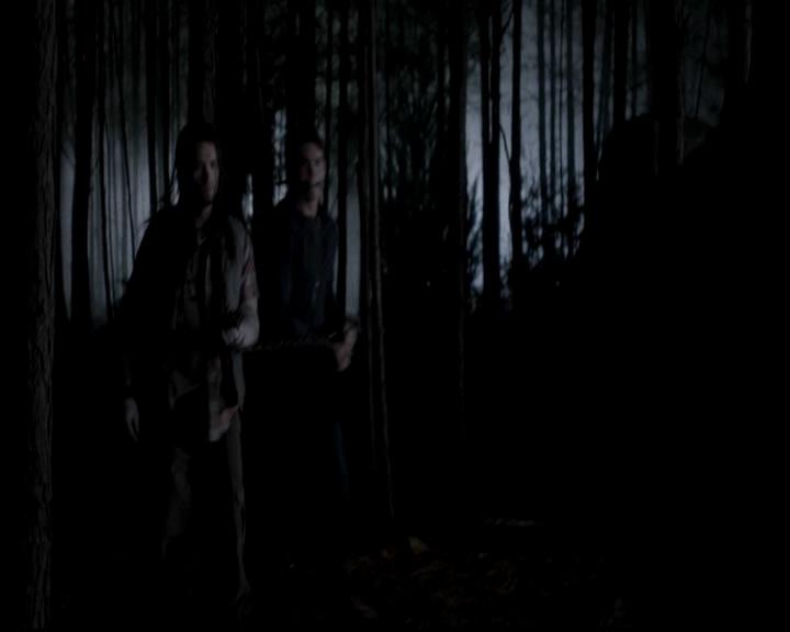 VampireDiariesWorld-dot-org_4x13IntoTheWild2253.jpg