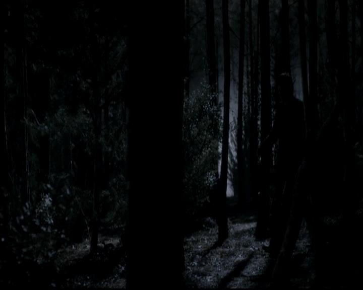 VampireDiariesWorld-dot-org_4x13IntoTheWild2294.jpg