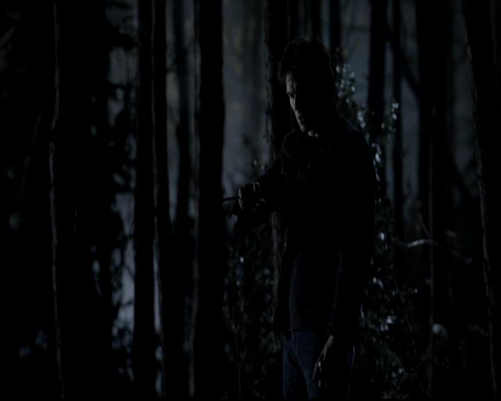 VampireDiariesWorld-dot-org_4x13IntoTheWild2301.jpg