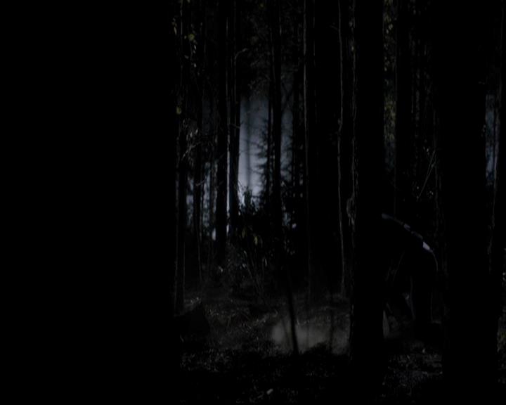VampireDiariesWorld-dot-org_4x13IntoTheWild2307.jpg