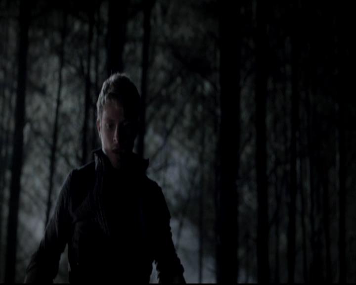 VampireDiariesWorld-dot-org_4x13IntoTheWild2327.jpg
