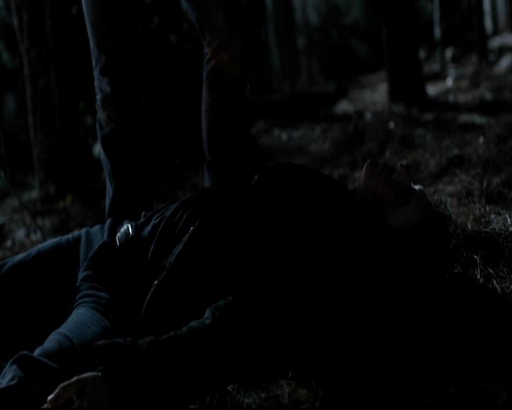 VampireDiariesWorld-dot-org_4x13IntoTheWild2328.jpg