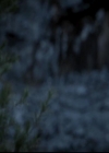 VampireDiariesWorld-dot-org_4x13IntoTheWild0072.jpg