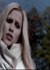 VampireDiariesWorld-dot-org_4x13IntoTheWild0206.jpg