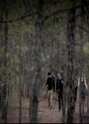 VampireDiariesWorld-dot-org_4x13IntoTheWild0434.jpg