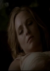 VampireDiariesWorld-dot-org_4x13IntoTheWild2104.jpg