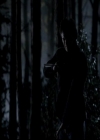 VampireDiariesWorld-dot-org_4x13IntoTheWild2300.jpg