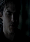 VampireDiariesWorld-dot-org_4x13IntoTheWild2303.jpg