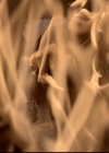 VampireDiariesWorld-dot-org_4x15StandByMe2268.jpg