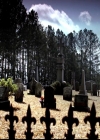 VampireDiariesWorld-dot-org_4x19PicturesOfYou0002.jpg
