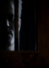 Filename=VampireDiariesWorld-dot-org_4x19PicturesOfYou2152.jpg
Filesize=16KiB
Dimensions=720x576
Date added=Dec 07, 2013 VampireDiariesWorld-dot-org_4x19PicturesOfYou2152.jpg