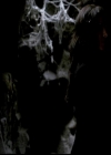 Filename=VampireDiariesWorld-dot-org_4x19PicturesOfYou2233.jpg
Filesize=23KiB
Dimensions=720x576
Date added=Dec 07, 2013 VampireDiariesWorld-dot-org_4x19PicturesOfYou2233.jpg
