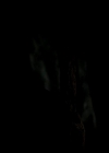 Filename=VampireDiariesWorld-dot-org_4x19PicturesOfYou2284.jpg
Filesize=10KiB
Dimensions=720x576
Date added=Dec 07, 2013 VampireDiariesWorld-dot-org_4x19PicturesOfYou2284.jpg